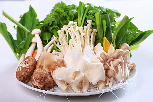 大浅盘,蔬菜,蘑菇,卷心菜,药草,细面条,砂锅,亚洲