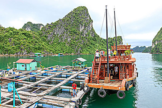 漂浮,养鱼场,下龙湾,越南,印度支那,东南亚,东方,亚洲