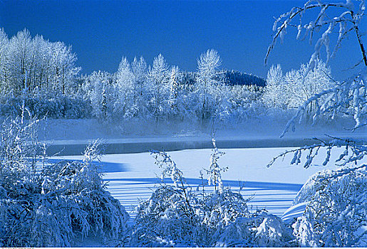弗雷泽河,冬天,靠近,王子,不列颠哥伦比亚省,加拿大
