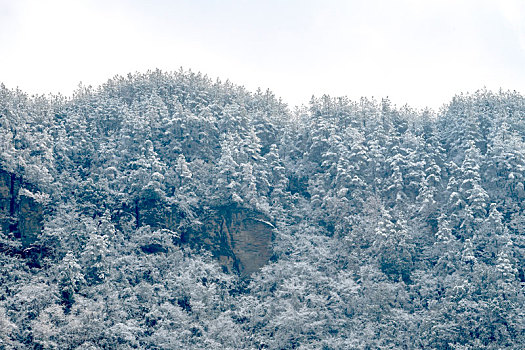 亚洲,中国,重庆,酉阳,天空,山坡,青山,白雪,树枝,公路