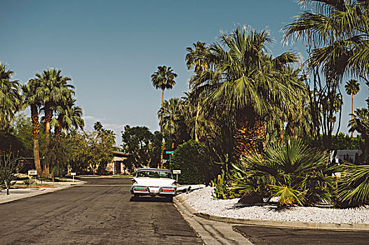 老爷车,停放,郊区,道路,棕榈泉,加利福尼亚,美国