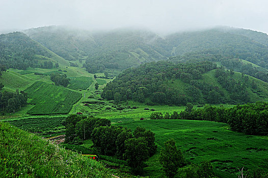 河北承德坝上,国家一道风景大道,夏日风景