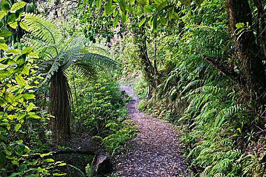 新西兰,南岛,卡胡朗吉国家公园,拱形,大幅,尺寸