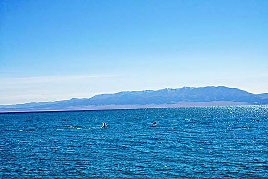 赛里木湖水面