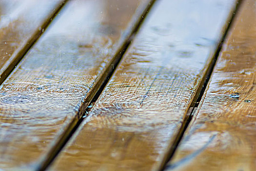 雨中的木板