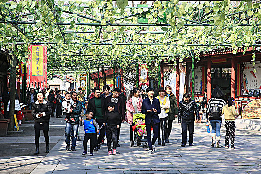 道路,游客,路面,荫