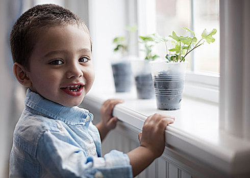 男孩,看,年轻,植物,罐,窗台