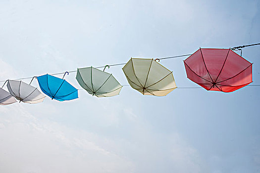 重庆巴南花木世界园林中的一串雨伞