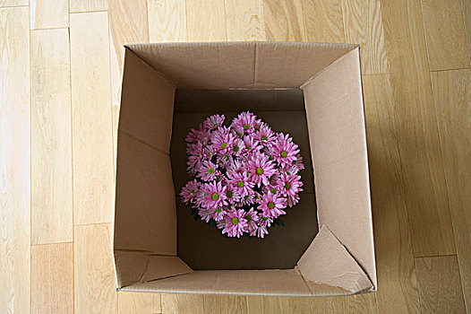 花,纸箱