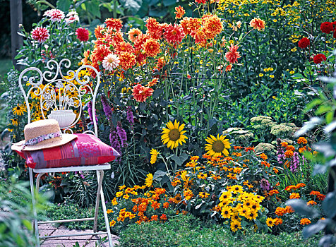 金属,椅子,橙色,夏天,花坛