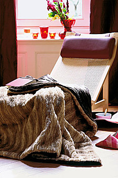 人造毛,毯子,舒适,窗边,客厅