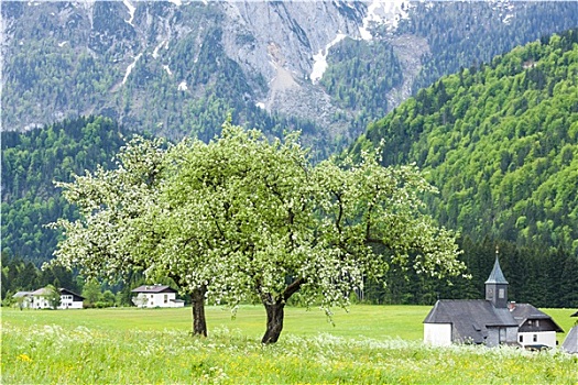 奥地利,阿尔卑斯山,靠近,哈尔斯塔特,上奥地利州
