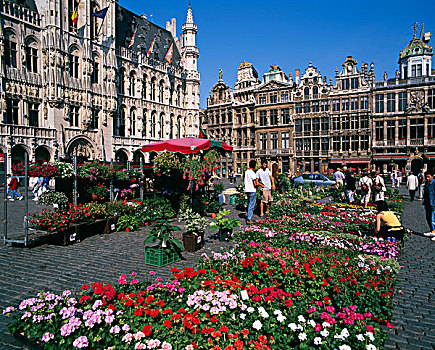 游客,花,市场,大广场,布鲁塞尔,比利时