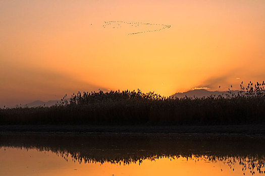 沙湖农场,沙湖景区