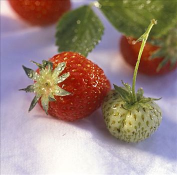成熟,不熟,草莓