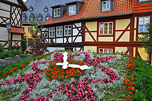 花,钟表,花园,哈尔茨山,德国,萨克森