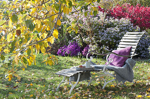 躺椅,苹果树,秋天,花园