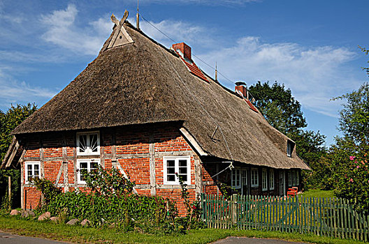 老,茅草屋顶,农舍,梅克伦堡前波莫瑞州,德国,欧洲
