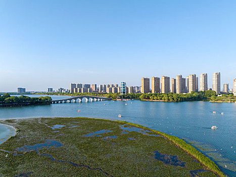 江苏东海,生态湿地乐游人