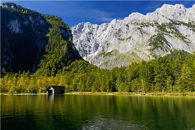 巴伐利亚森林国家公园图片