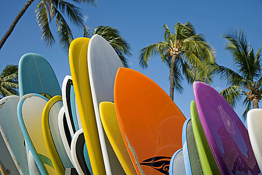 夏威夷,夏威夷大岛,莫纳克亚,胜地,租赁,冲浪板,架子,蓝天,棕榈树