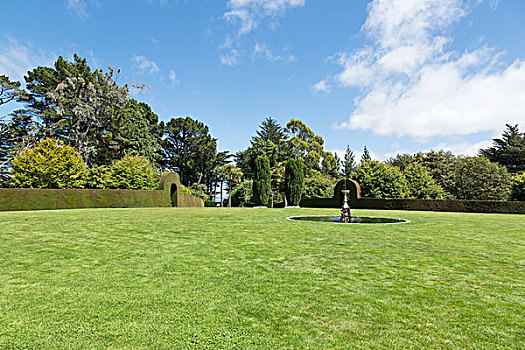 草场,夏天,晴天,新西兰