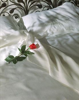 一个,红玫瑰,床
