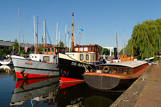 船,港口,北荷兰省,荷兰