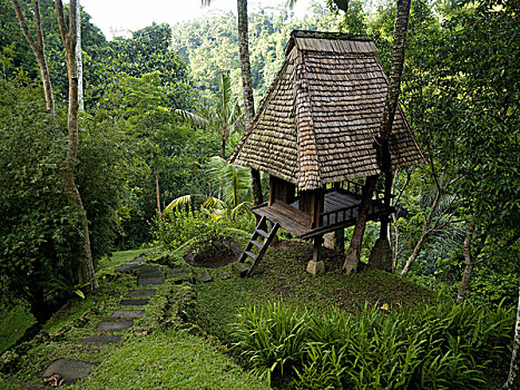 木屋,树林,巴厘岛,印度尼西亚