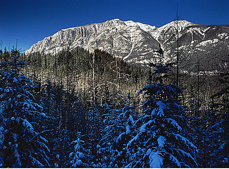 普契尔山脉,靠近,金伯利,不列颠哥伦比亚省,加拿大