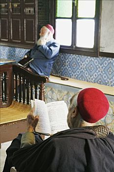 突尼斯,犹太会堂,男人,读,希伯来圣经