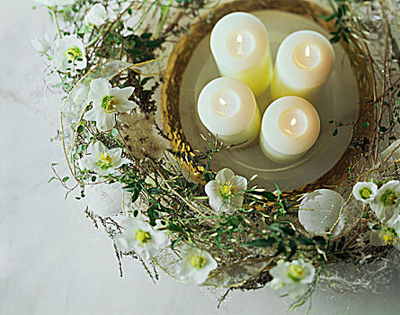 四个,蜡烛,盘子,围绕,花环,圣诞玫瑰