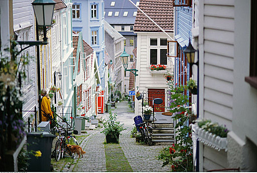 小巷,城镇,卑尔根,挪威