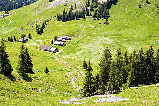 风景,小屋,巴伐利亚,阿尔卑斯山