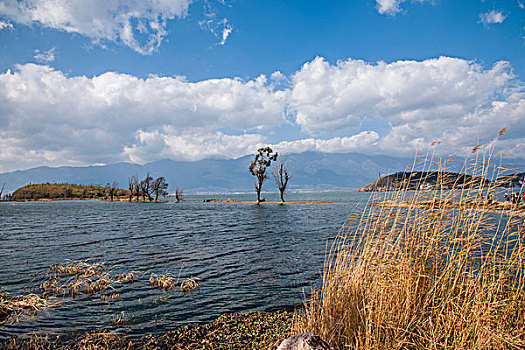 云南大理海东镇洱海湿地