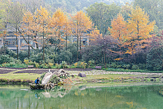 杭州太子湾公园秋景