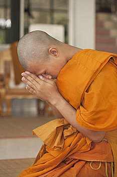 年轻,泰国人,男人,佛教,新信徒,僧侣