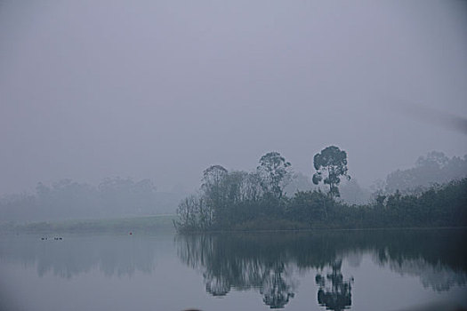 雾中湖泊