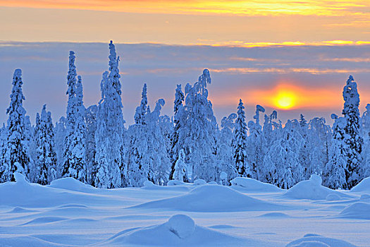 日落,北方,芬兰
