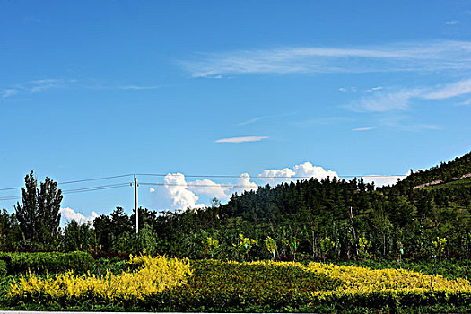 玉龙沙湖