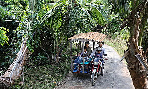 家庭,三轮车,草,屋顶,岛屿,菲律宾,亚洲