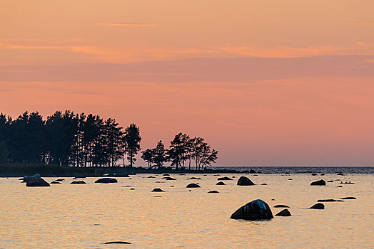 漂石,水中,夜光,波罗的海岸,海湾,芬兰,爱沙尼亚,欧洲