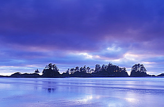 海滩,靠近,黄昏,温哥华岛,不列颠哥伦比亚省,加拿大
