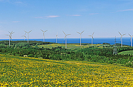 卡地亚,风能,加斯佩半岛,魁北克,加拿大,能量,风电场,风轮机,替代能源