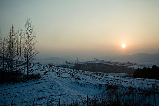 雪野,北方,东北,大雪,原野,土地,冬季,洁白,干净,风景,村庄,农村