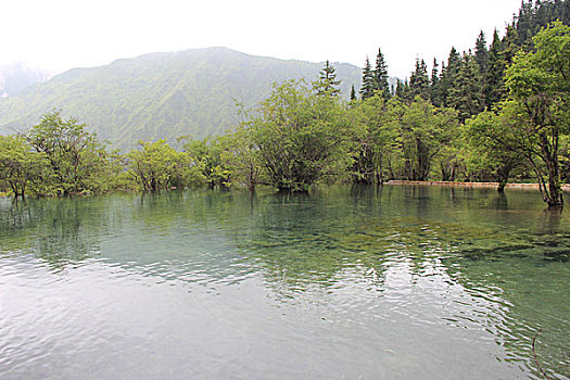 黄龙五彩池