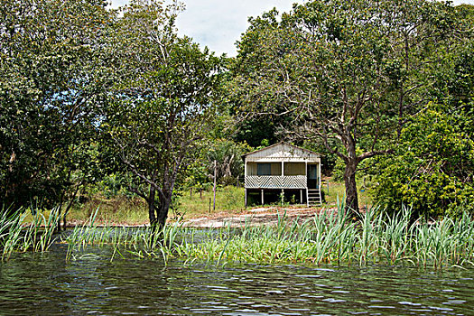 巴西,亚马逊河,河,特色,家,大幅,尺寸