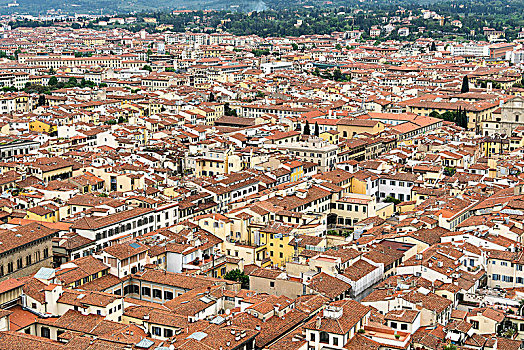 佛罗伦萨,大教堂,圆顶,老城,俯视