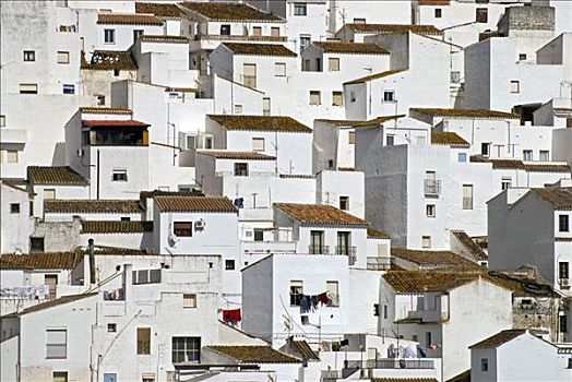 白房子,卡塞雷斯,一个,普韦布洛,省,马拉加,安达卢西亚,西班牙,欧洲