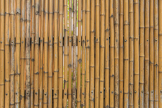竹子,栅栏,墙壁,纹理,图案,背景
